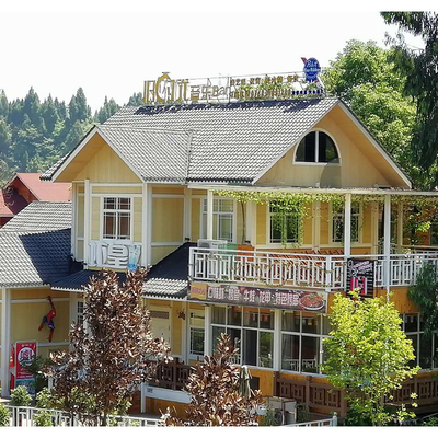 ASA Synthetic Resin Roof Tile 2.5mm Thickness B1 Fire Rating